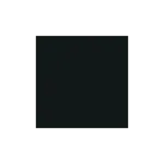 Stop SVG Icon